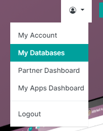 Clicking on the user icon opens a drop-down menu. "My databases" button is highlighted.