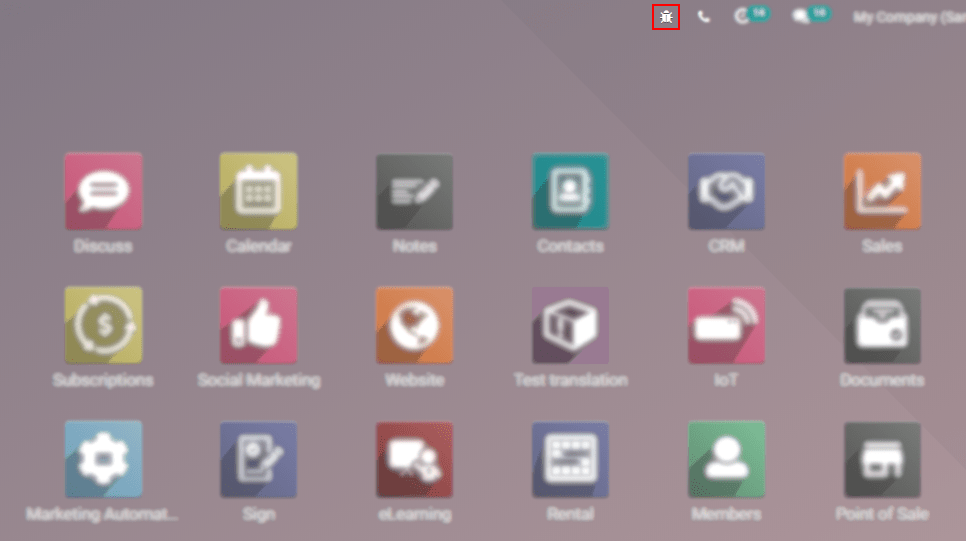Overview of a console page and the debug icon being shown in Odoo
