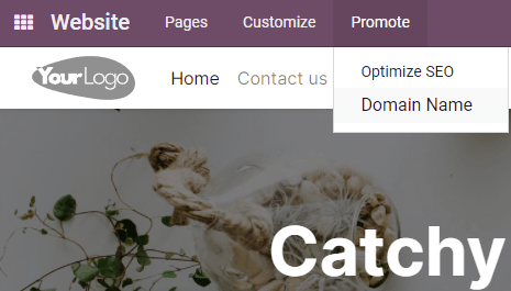 Hacer clic en el botón "Nombres de dominio" desde un sitio web de Odoo.