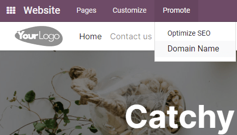 Clicking on Domain Names from an Odoo website