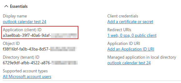 Application client ID highlighted in the essentials section of the newly created application.
