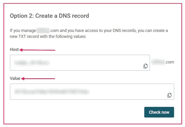 Información de registro TXT que se debe introducir en el DNS del dominio.