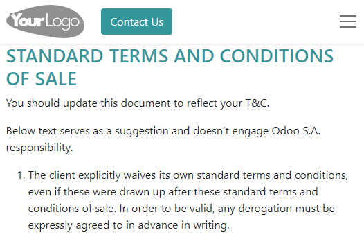 Example of terms and conditions as a web page