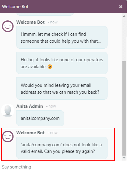 View of a chatbot responding to an invalid email.