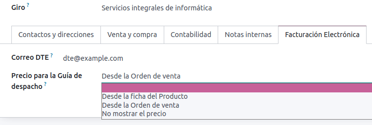 Chilean electronic invoice data for partners.