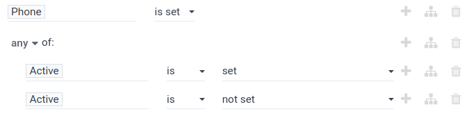 Folosiți Activ pentru a include statusul activ în raport.