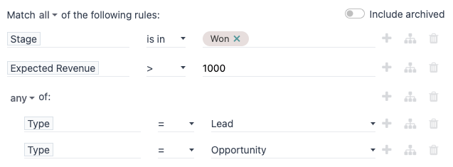 Lägga till ett anpassat filter för att filtrera specifika poster i CRM.