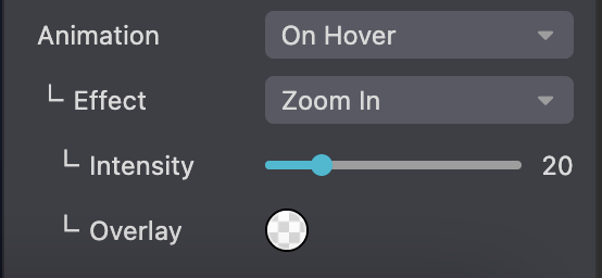Animation on hover options