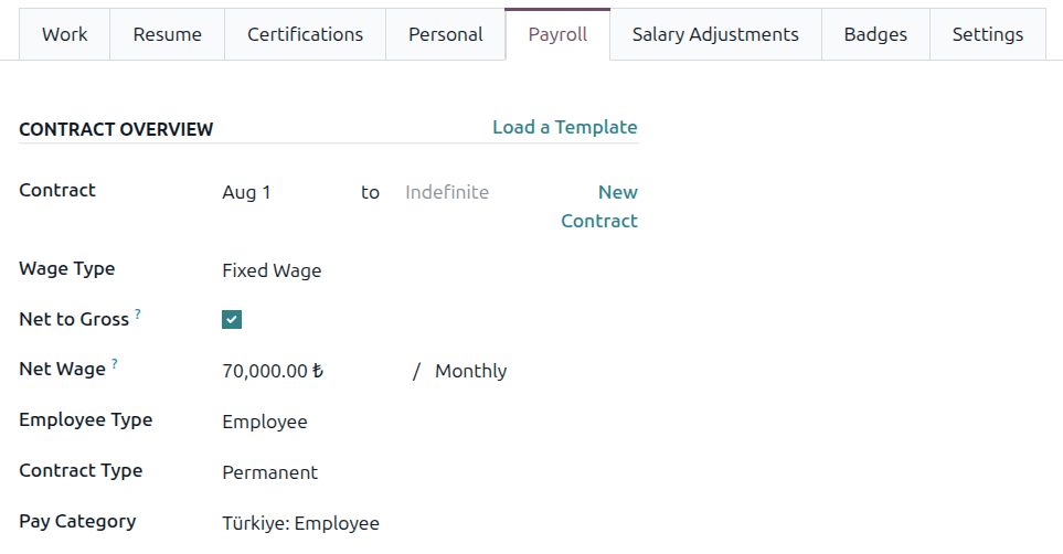 The contract overview section of the employee form of the payroll tab.