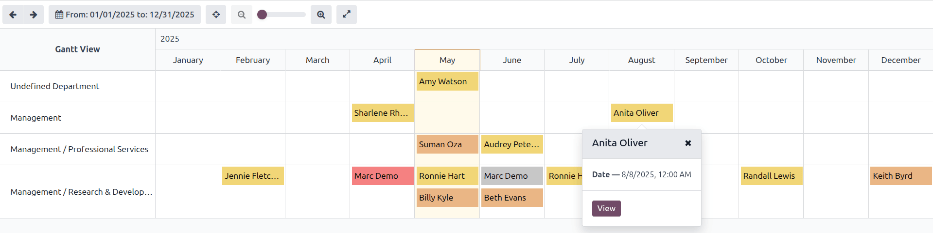 En rapport som visar alla värderingar för rapporten Värderingsanalys.