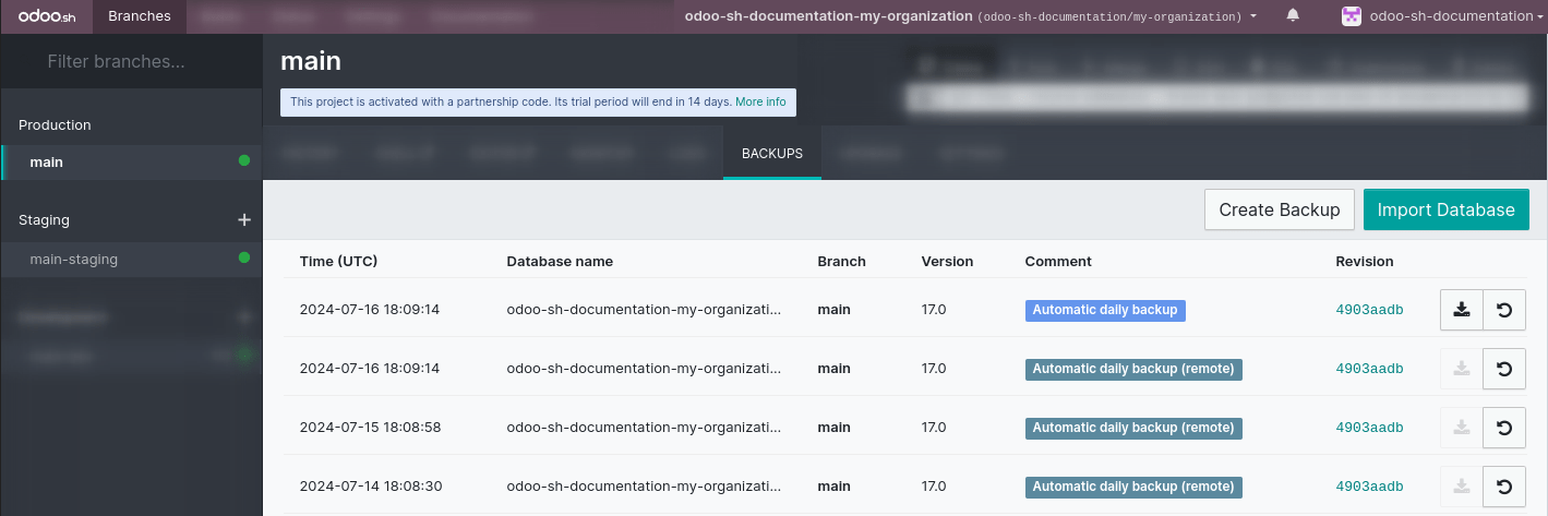 The branches backups tab