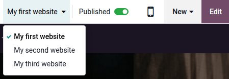 Selezionare un sito web nel frontend