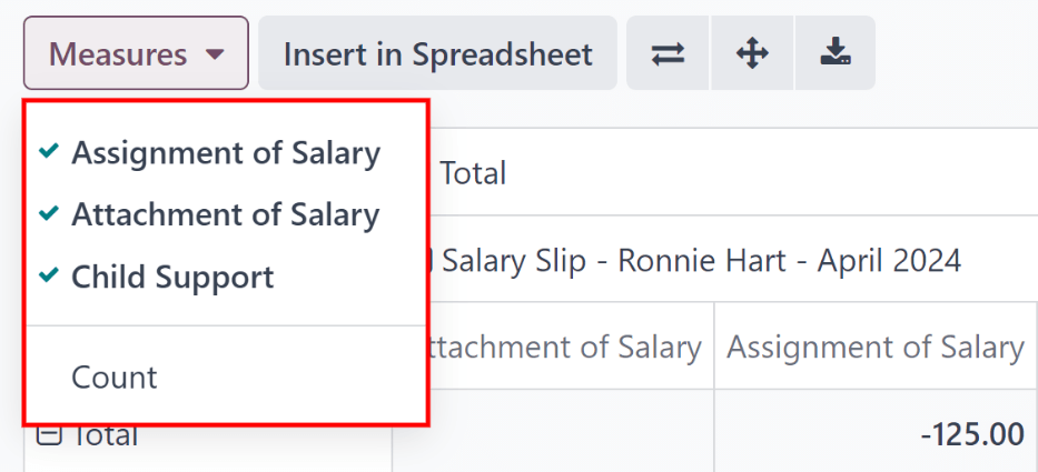 Select the options to be displayed in the Salary Attachment Report.