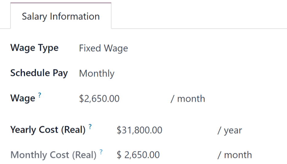 The salary information tab, with the fields filled in.