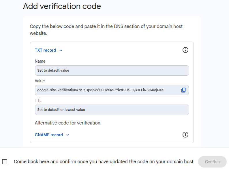Copying the TXT value on Google Workspace