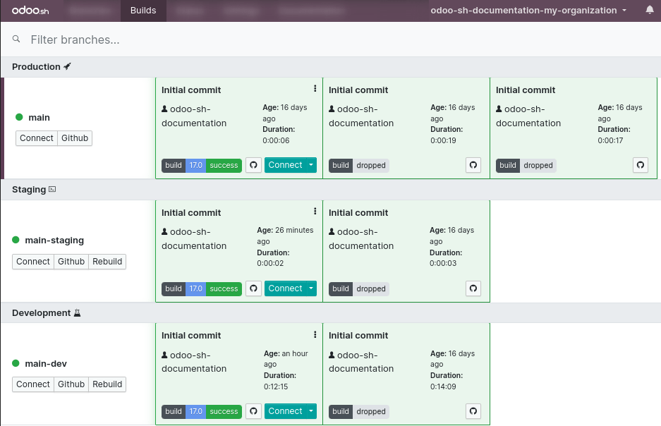 Overiew of the builds