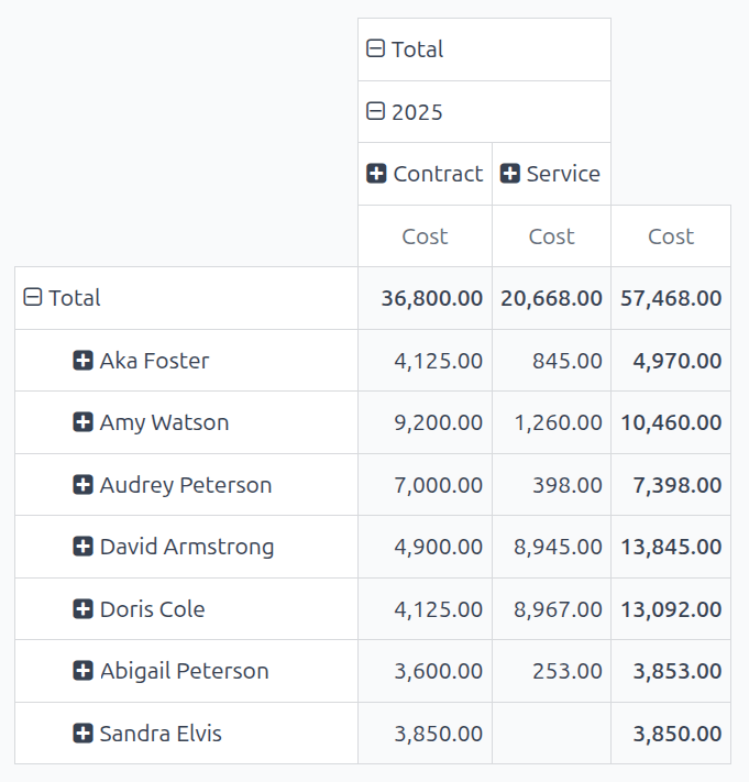 The cost analysis report showing costs by driver in a pivot table.