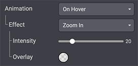 Animation on hover options