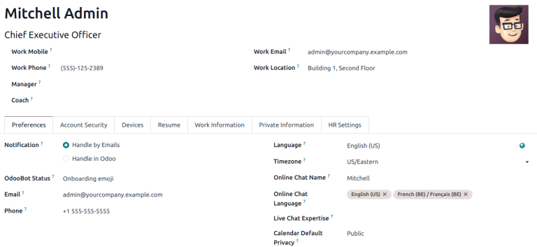 View of user profile in Odoo, emphasizing the Online Chat name field.