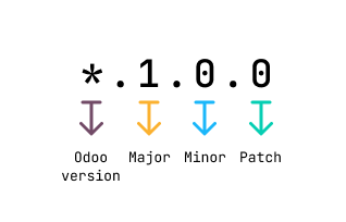 Module versioning
