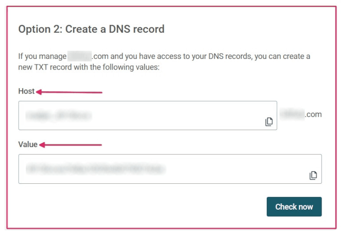 De TXT record informatie om in te voeren in het DNS van het domein.