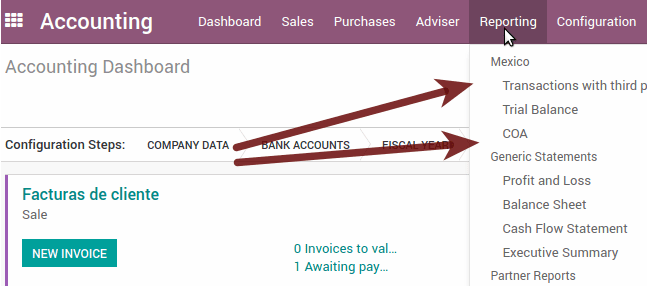 Mexico Sat Chart Of Accounts