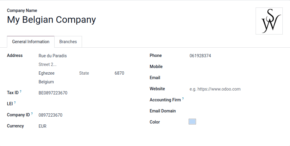 Overview of a new company's form in Odoo.