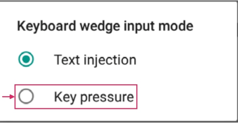 Keyboard wedge input mode selection on Datalogic scanner.