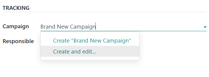 View of the mailing campaign creation in the Settings tab of an email form.