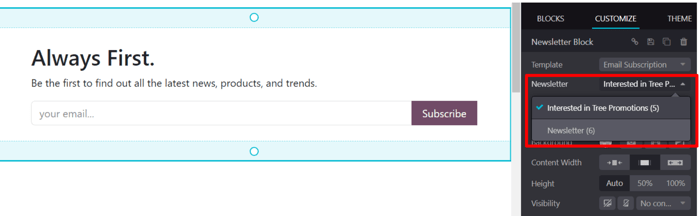 The newsletter drop-down menu in the customize sidebar that appears in Odoo Website.