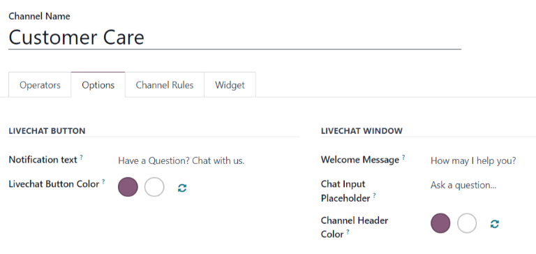 View of the options tab of a Live Chat channel's settings.