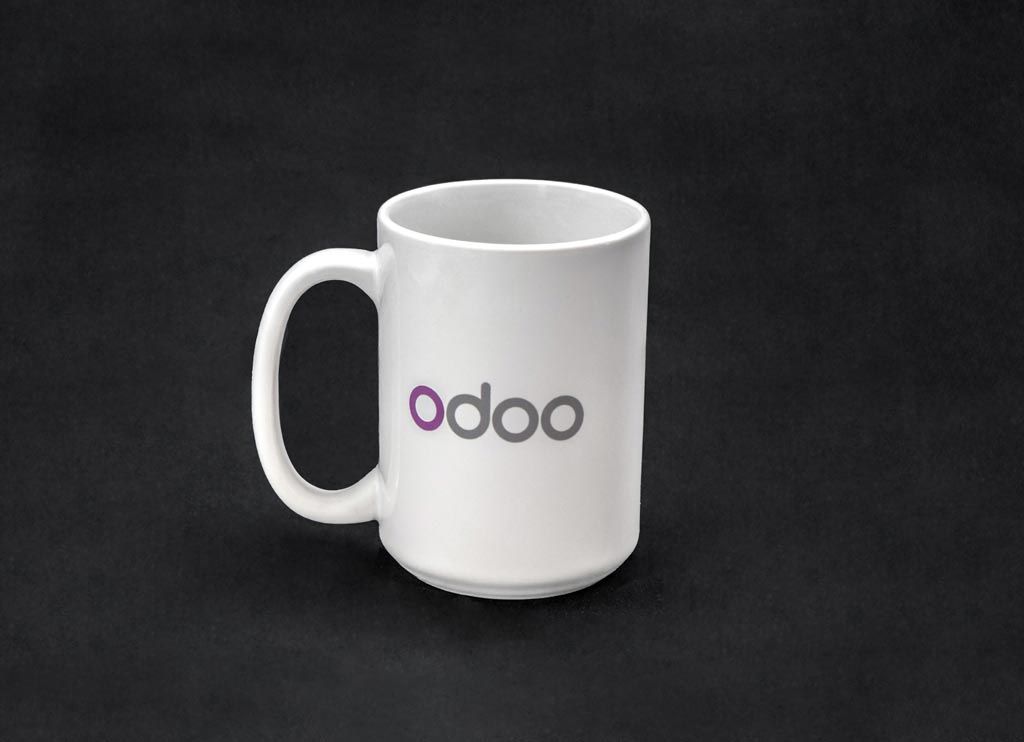https://www.odoo.com/web/image/product.template/23195/image_1024?unique=4a4824a